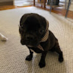 Meet your Posher, Catherine